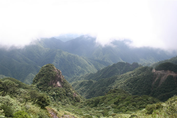 周末云游南岭风光