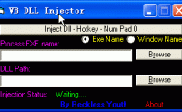 VB DLL Injector v1.0