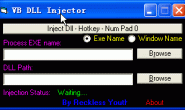 VB DLL Injector v1.0
